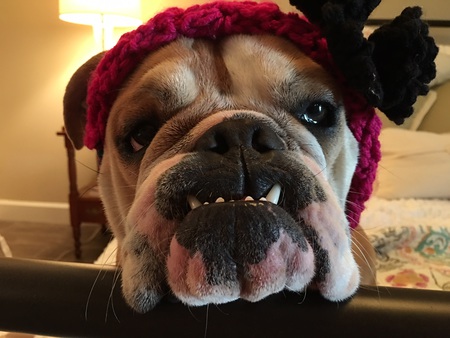 Maizey