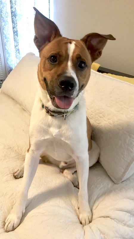 Tucker