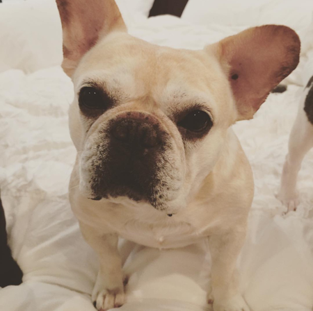 Eva "Diva"