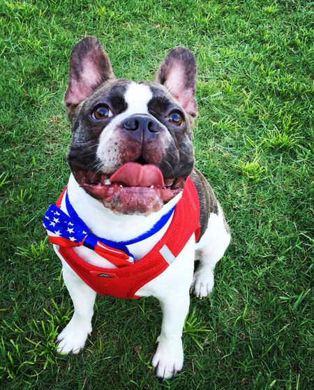 Emmitt 