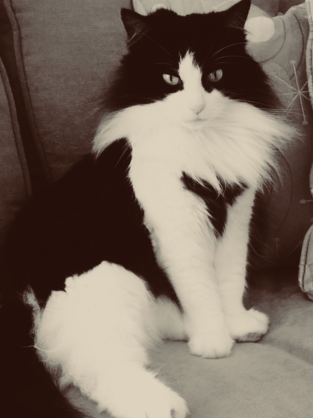 Mia