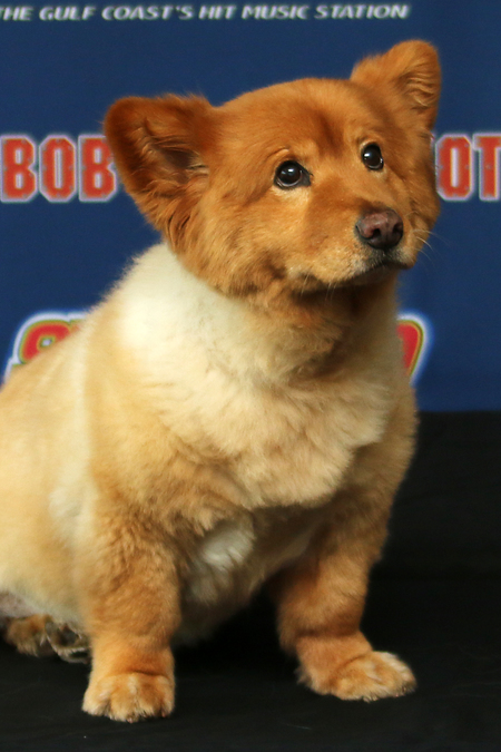 Rosie