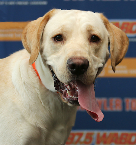 Murphy