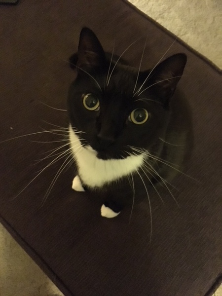 Maximus