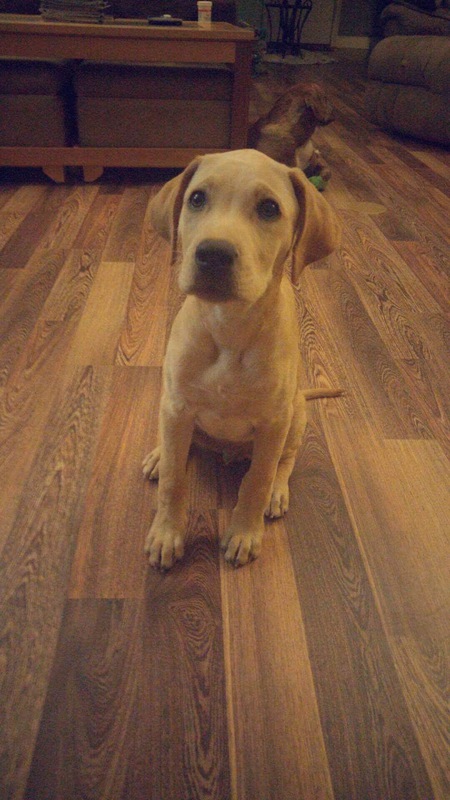 Tucker