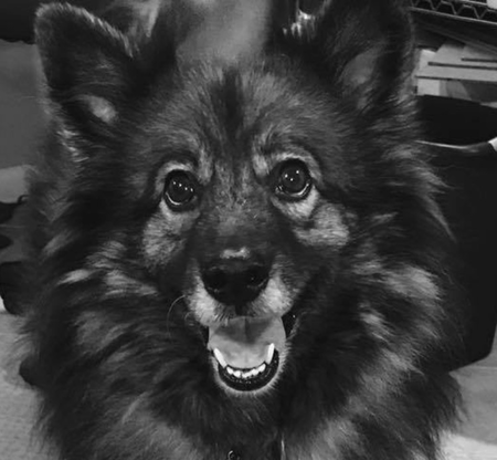 Lola