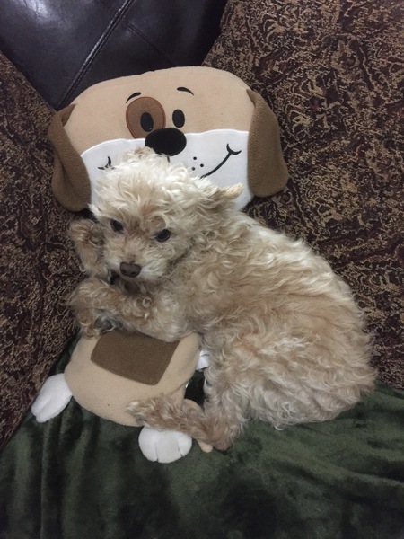 Mickey