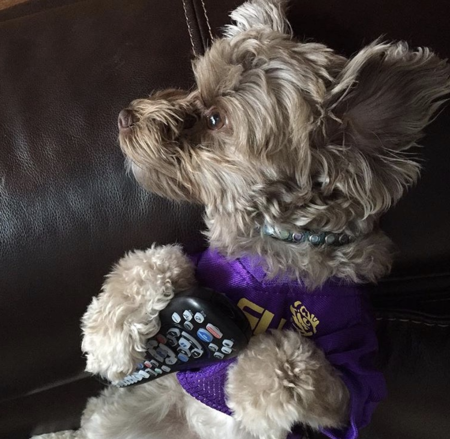 Tallulah Belle