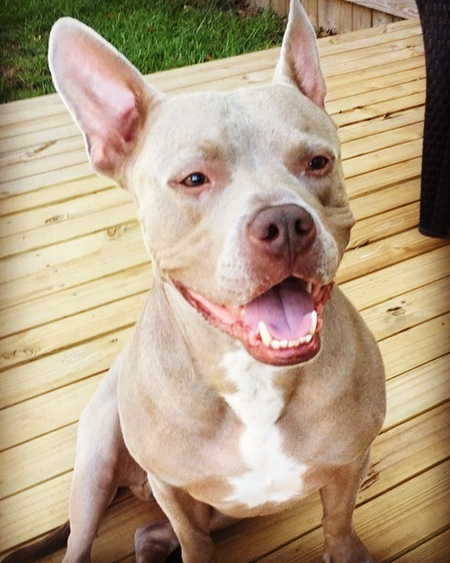 Kyro