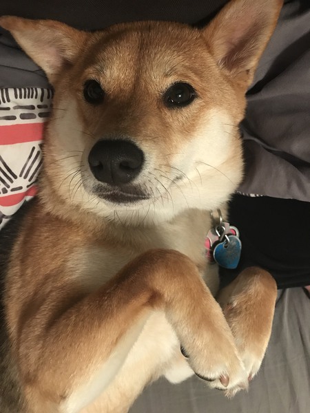 Ellie