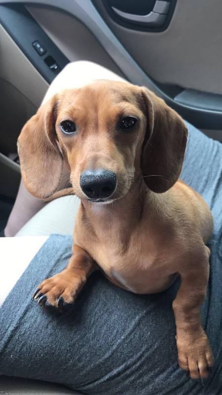 Charlie 