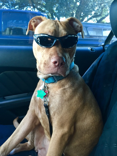 Bella