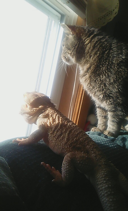 Vinnie and Spyro