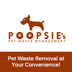Poopsie