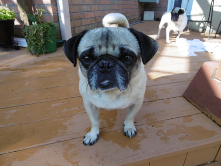 Leroy