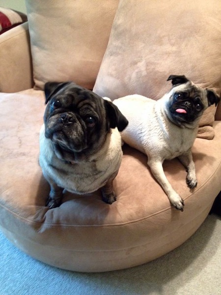 Max and ChiChi
