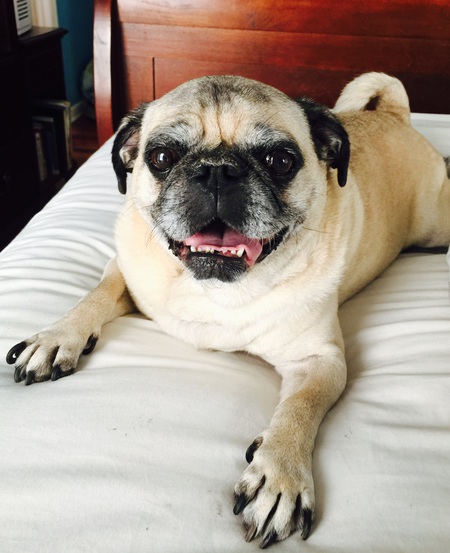 Bennie