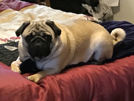 Roscoe