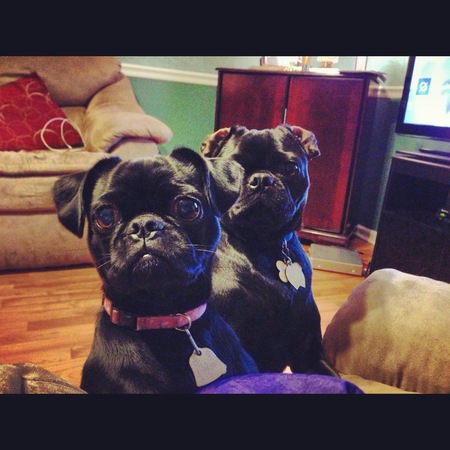Sophie and Max