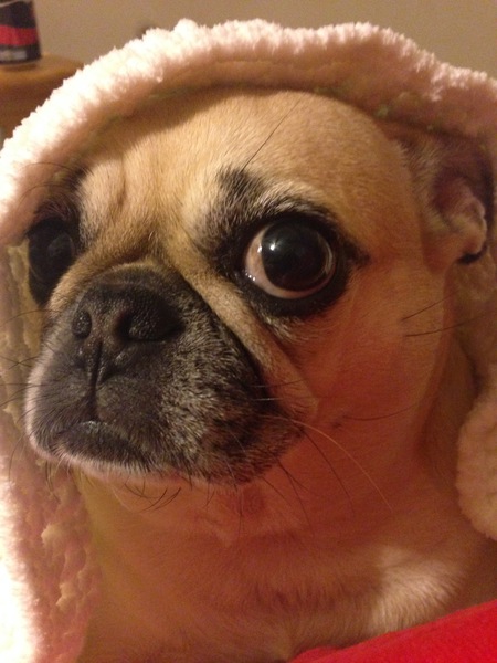 Beanie 