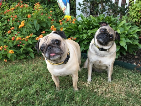 Kloe & Zoe