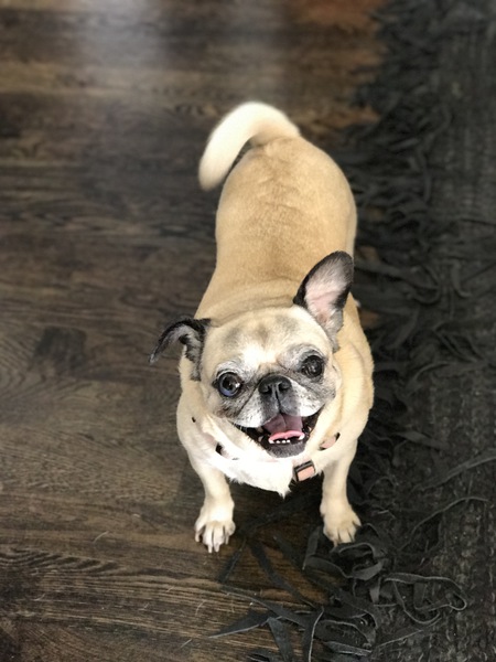 Lula