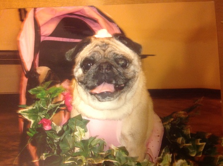 Pearly Mae