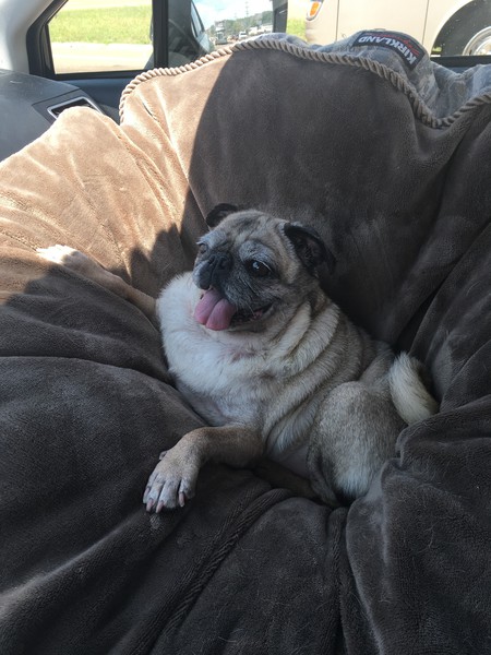 Gabby