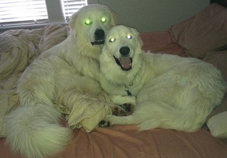 Bianca and Gypsy
