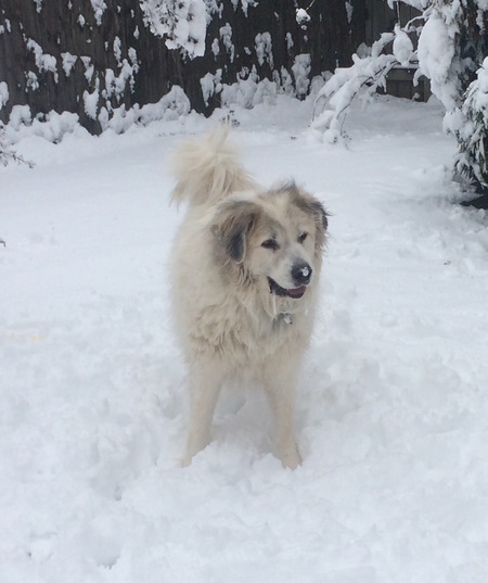 Dudley