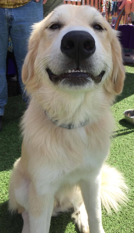Finnegan