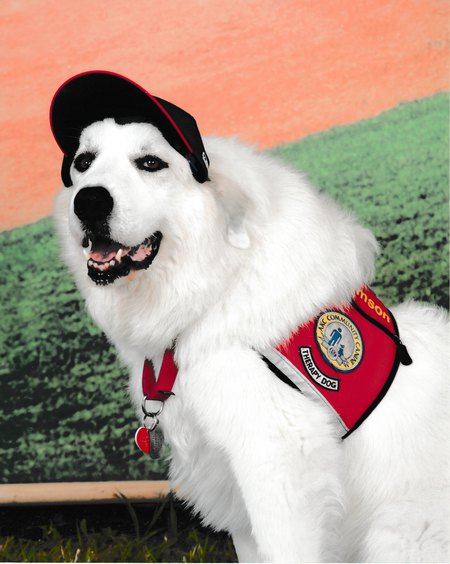 Samson