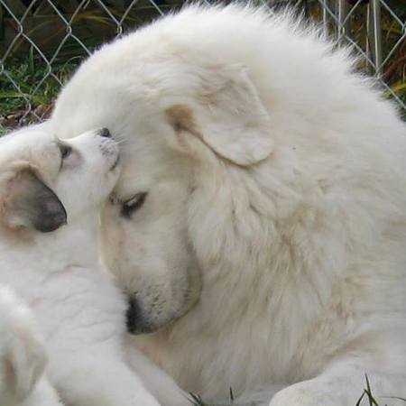 Gabby and Annie