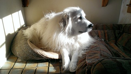 Katie